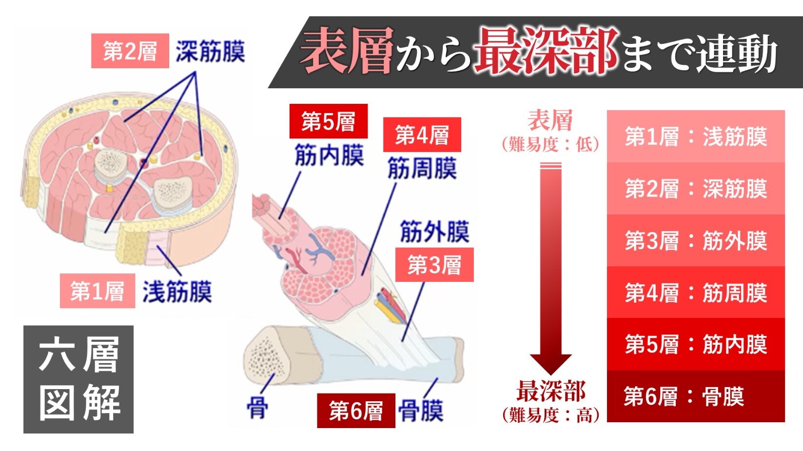 六層連動操法 - 通販 - gofukuyasan.com